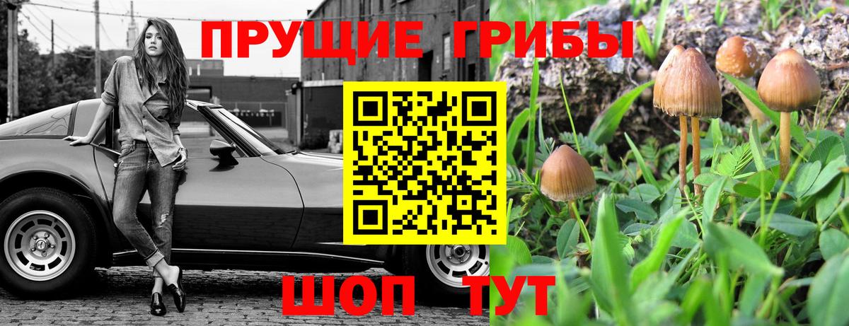 Магадан  Псилоцибиновые грибы ЛСД  Вход с VPN  Псилоцибиновые грибы Magic Shrooms 